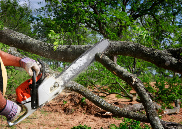 Leaf Removal in Franklin, WI